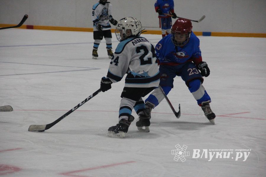 Детский турнир по хоккею прошел в Великих Луках (ФОТО)