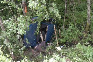 В Куньинском районе водитель улетел в кювет и погиб