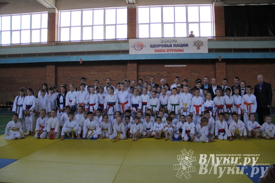 Великолучане стали победителями турнира по каратэ «Неприкосновенный запас, дети — Отчизны 2015» (фото)
