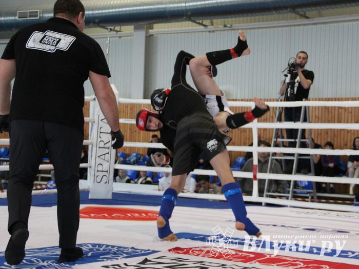 Открытый кубок по смешанному боевому единоборству ММА прошел в Великих Луках (ФОТО)