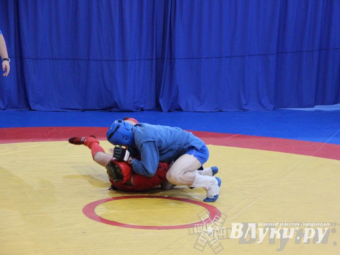 Первенство Псковской области по самбо