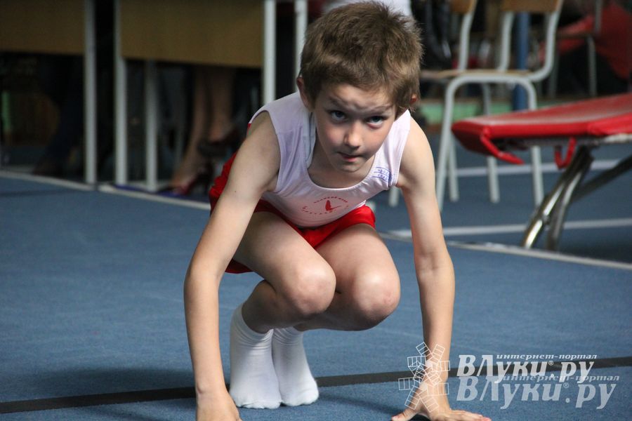 В Великих Луках состоялось Первенство по командной гимнастике (фото)