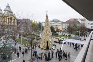 Старые машины, дрова и использованные банки: нетрадиционные идеи для рождественской елки