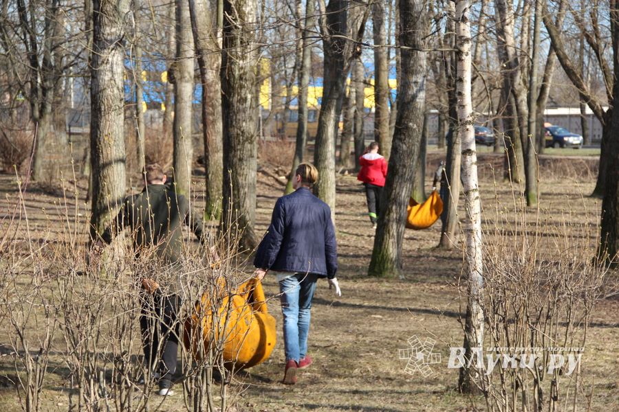 Студенты великолукского филиала ПГУПС вышли на субботник (ФОТО)