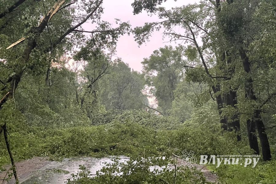 Весь ужас вчерашнего урагана в Великих Луках и районе (ФОТО, ВИДЕО)