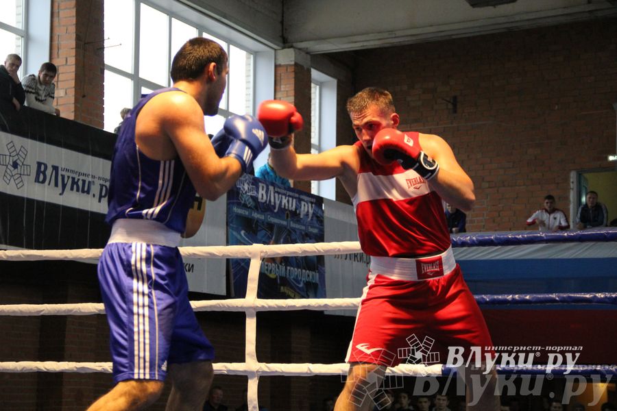 16-й Международный турнир по боксу (фото)