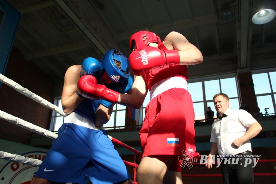 В Великих Луках прошел турнир по боксу памяти Е. Клевцова (ФОТО)