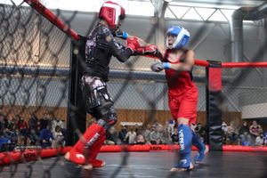 В Великих Луках прошел кубок по смешанному боевому единоборству (ФОТО)