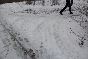 С первым снегопадом вас, коммунальщики Великих Лук!