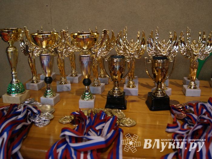 Великолучане завоевали призовые места на турнире по самбо «Память» (ФОТО)