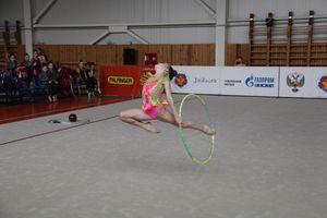 Гимнастика