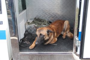 Великолукских школьников познакомили со спасательной техникой (ФОТО)