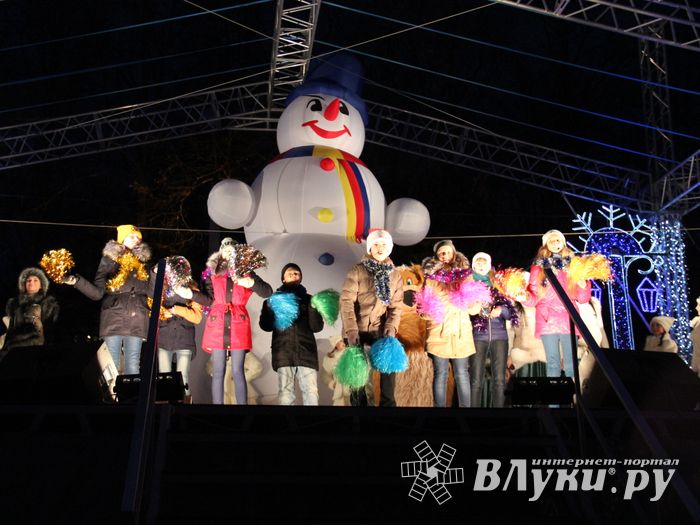 В Великих Луках зажглась главная новогодняя елка (фото)