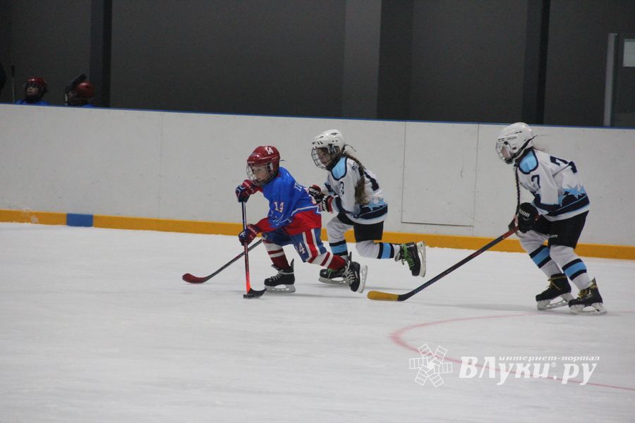 Детский турнир по хоккею прошел в Великих Луках (ФОТО)