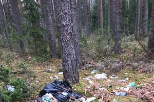 Великолукская семья навела порядок в Сенчитах (ФОТО)