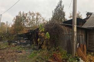 В результате поджога в Великих Луках пострадал 1 человек (ФОТО)