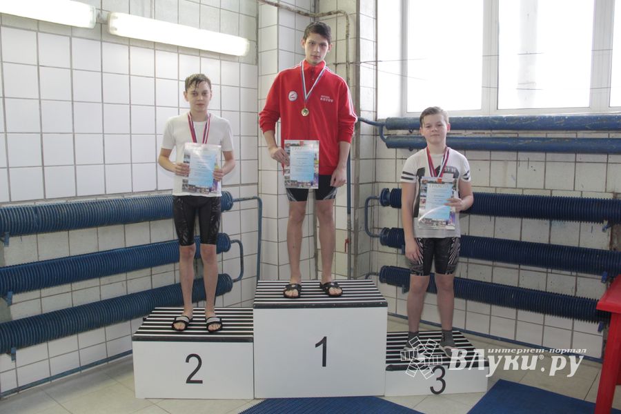 В Великих Луках прошли соревнования по плаванию «Быстрый Кашалот»