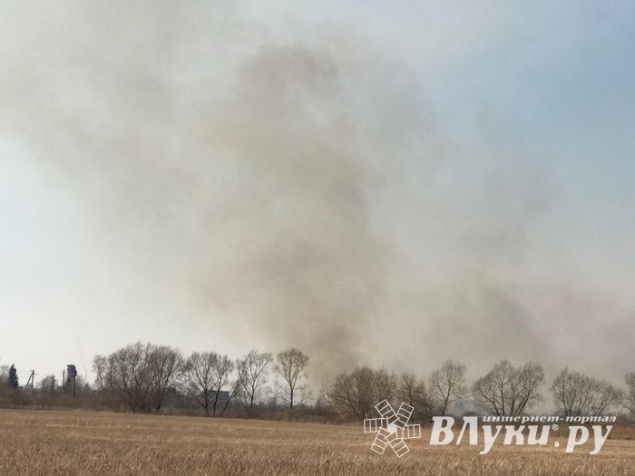 Великолукский район полыхает (ФОТО; ВИДЕО)