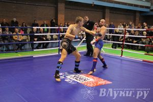 В Великих Луках прошел межрегиональный Открытый Кубок по смешанному боевому единоборству (фото)