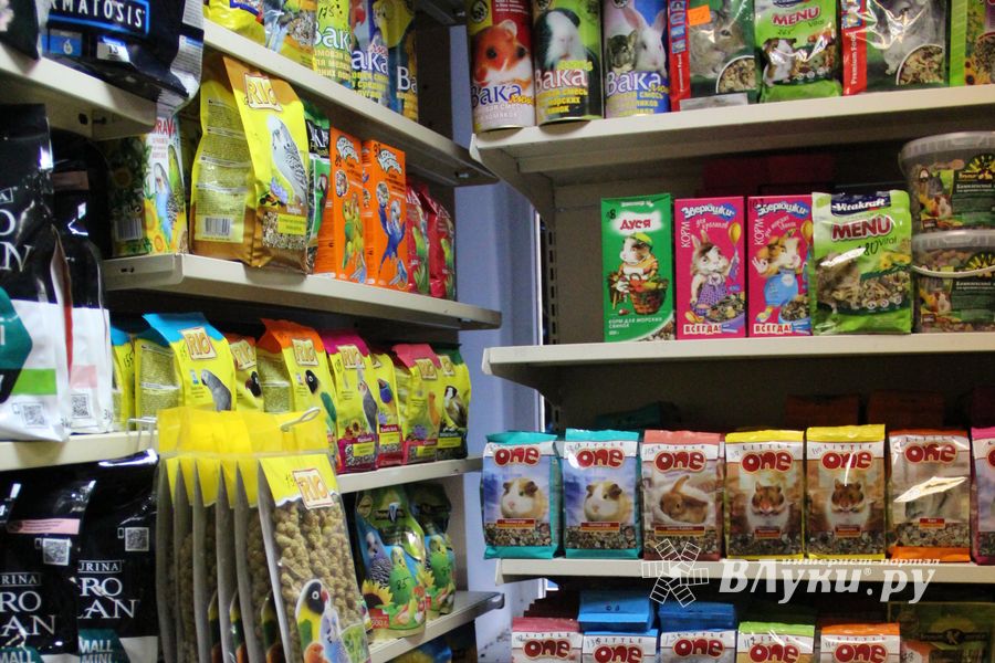 «Zooбастики»: подарите праздник своим любимцам! (ФОТО+ВИДЕО)