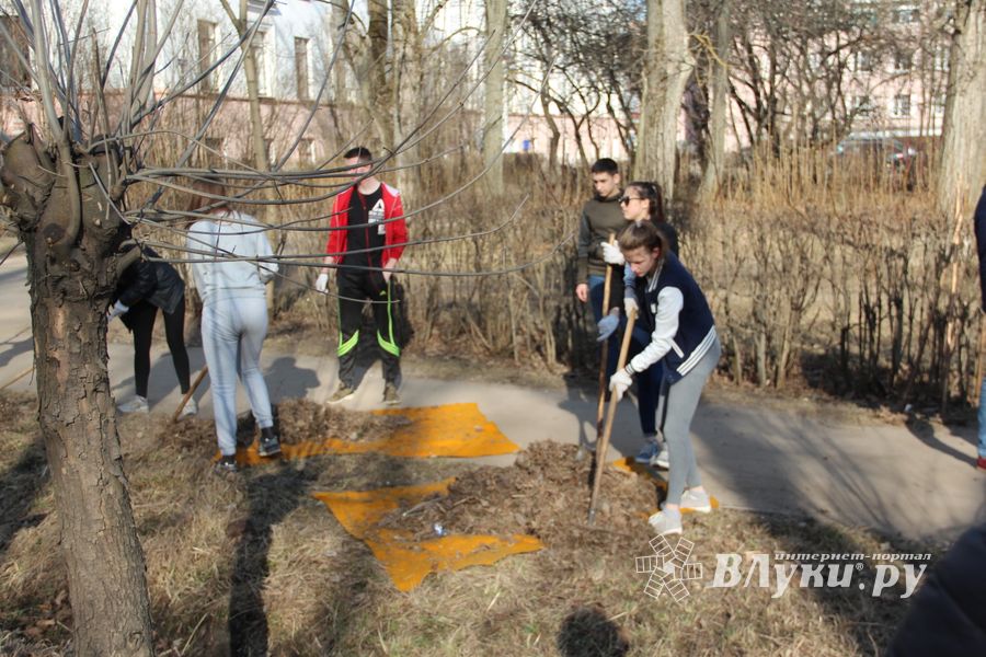 Студенты великолукского филиала ПГУПС вышли на субботник (ФОТО)