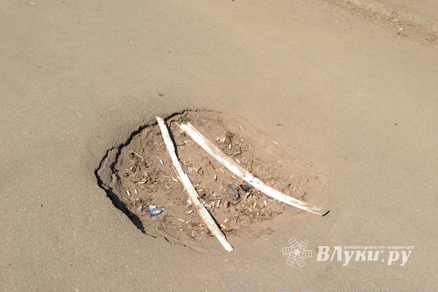 Весне дорогу!