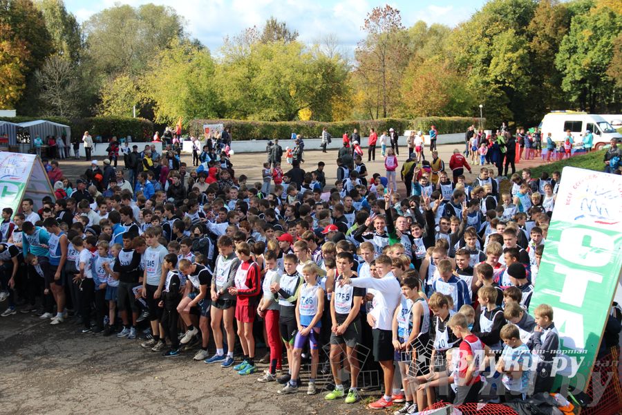 Кросс нации