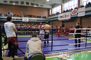 В Великих Луках прошел межрегиональный Открытый Кубок по смешанному боевому единоборству (фото)