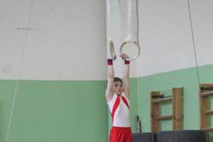 В Великих Луках прошел турнир по спортивной гимнастике (фото)