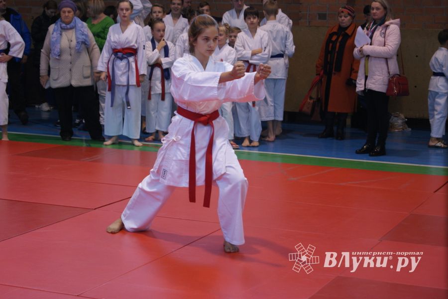 В Великих Луках прошли соревнования по каратэ (ФОТО)