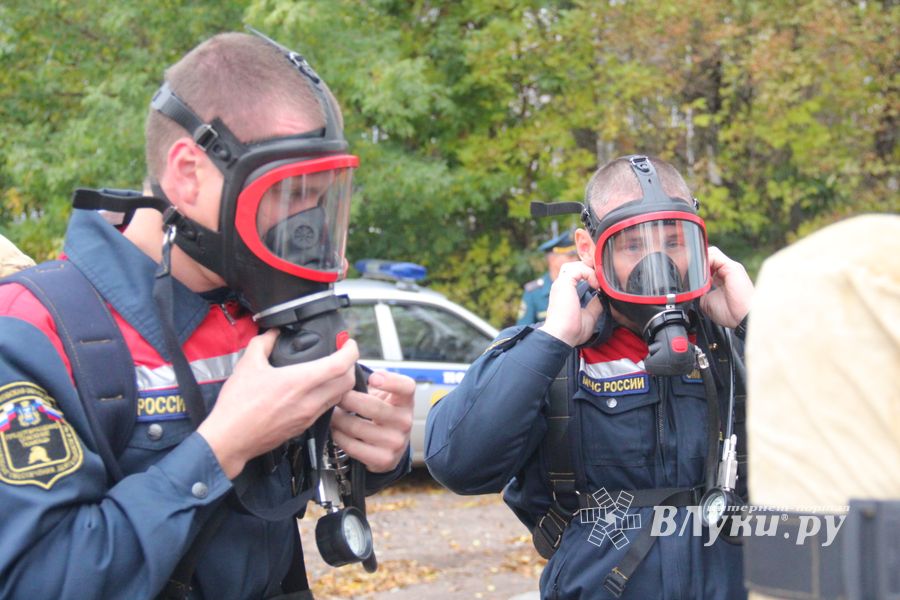 В Великих Луках тушили поезд (ФОТО)