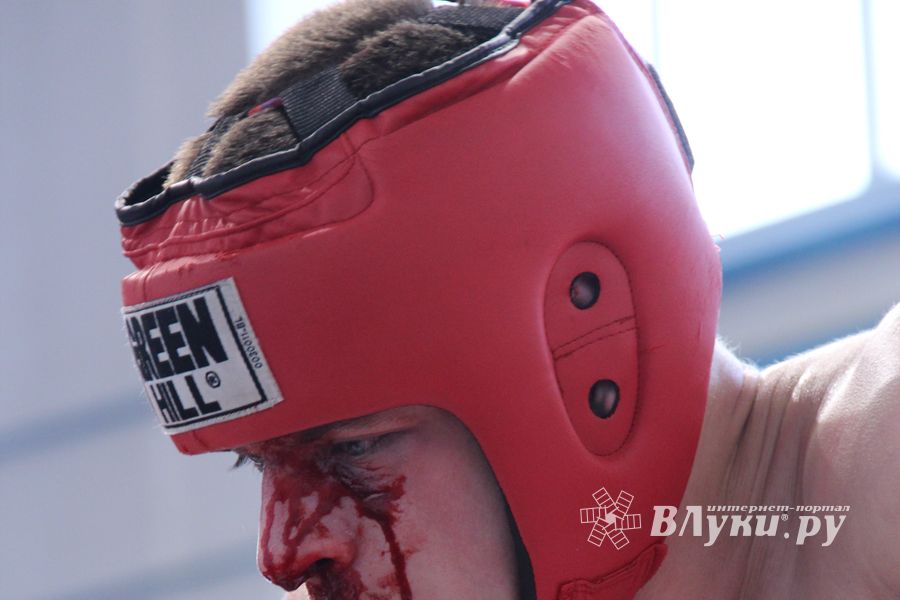 Открытый Кубок города Великие Луки по смешанному боевому единоборству (ММА)