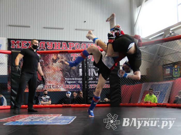 В Великих Луках прошел кубок по смешанному боевому единоборству (ФОТО)