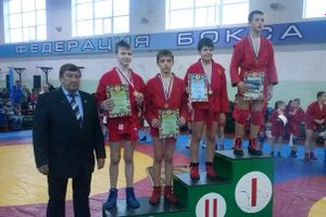 Юные великолучане привезли награды с соревнований по самбо (фото)