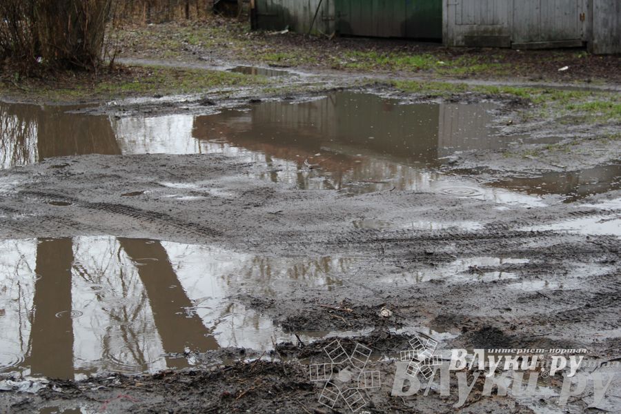 Этот странный январь