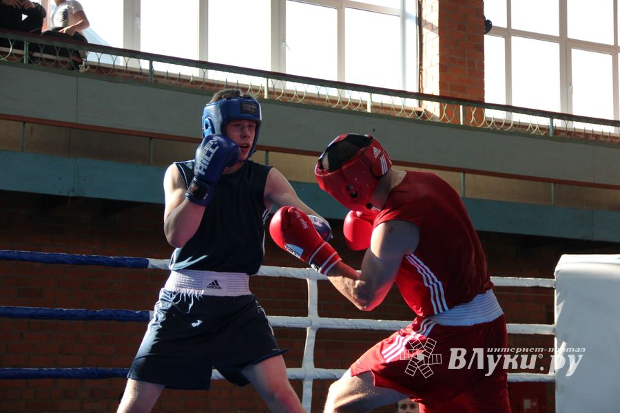 В Великих Луках прошел турнир по боксу памяти Е. Клевцова (ФОТО)
