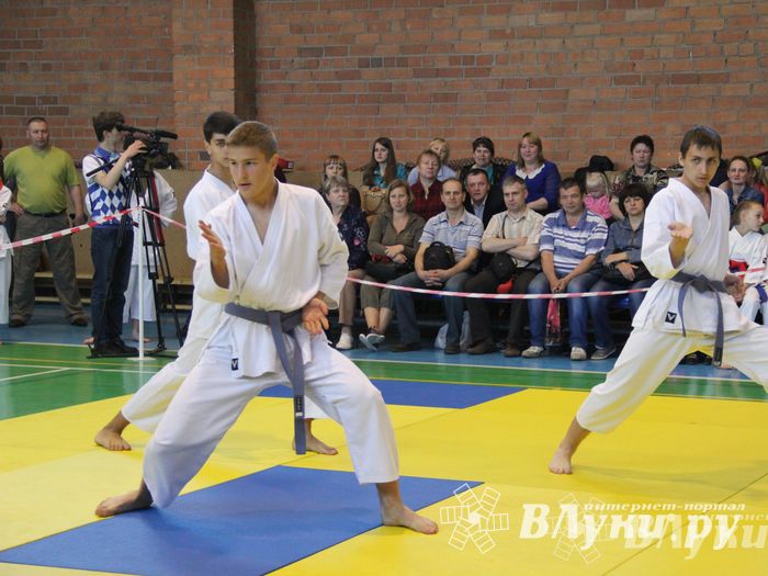 Великолучане стали победителями турнира по каратэ «Неприкосновенный запас, дети — Отчизны 2015» (фото)