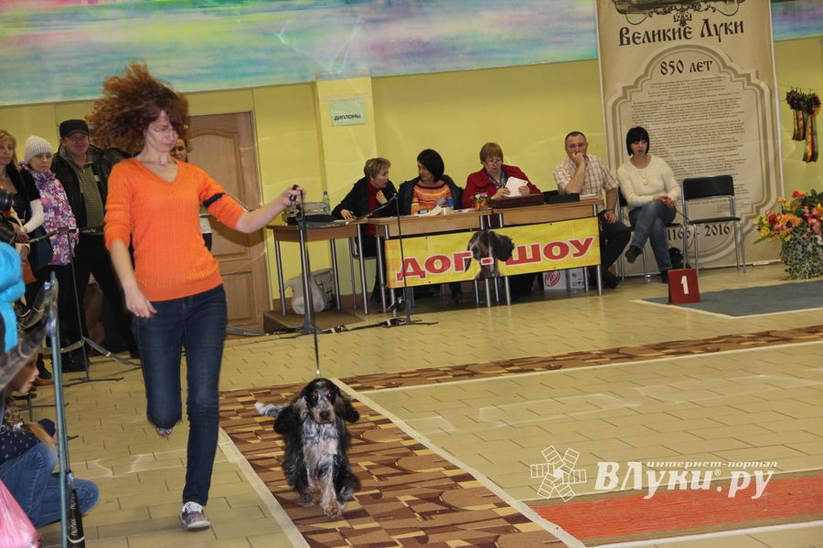 Всероссийская выставка собак в Великих Луках (фото)