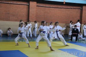 Турнир по каратэ