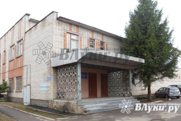 В Великих Луках пройдёт региональный турнир по боксу