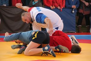 Великолучане завоевали награды турнира по самбо «Память» (ФОТО)