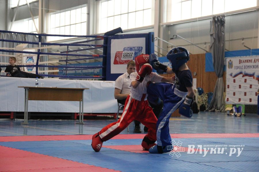 В Великих Луках проходит Кубок по кикбоксингу (ФОТО) (0+)