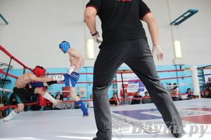 Чемпионат Псковской области по ММА