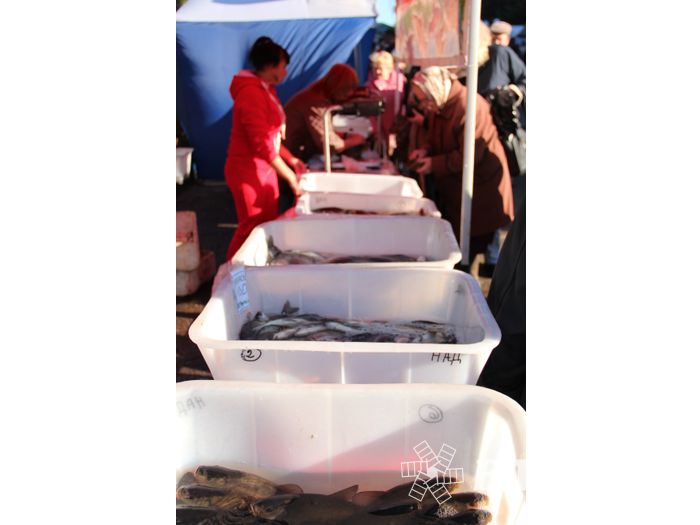 Торговая ярмарка «Осень-2016» прошла в Великих Луках (ФОТО)