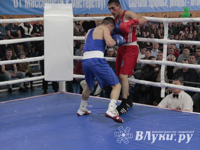 Матчевая встреча по боксу Великие Луки —Псков — Грозный (ФОТО)