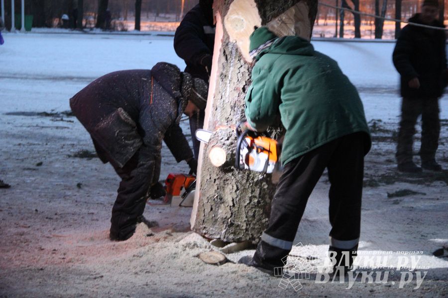 В Великих Луках установили новогоднюю елку (фото)