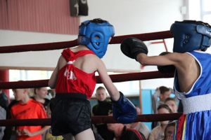 В Великих Луках прошло Первенство города по боксу (ФОТО)