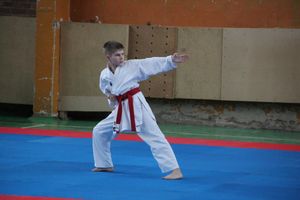 Открытый Кубок города Великие Луки по каратэ WKF (ФОТО)