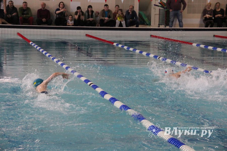 В Великих Луках прошло Первенство города по плаванию (ФОТО)
