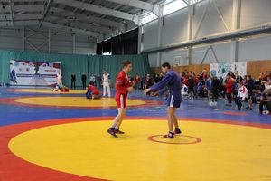 Всероссийские соревнования по самбо проходят в Великих Луках (ФОТО, 0+)